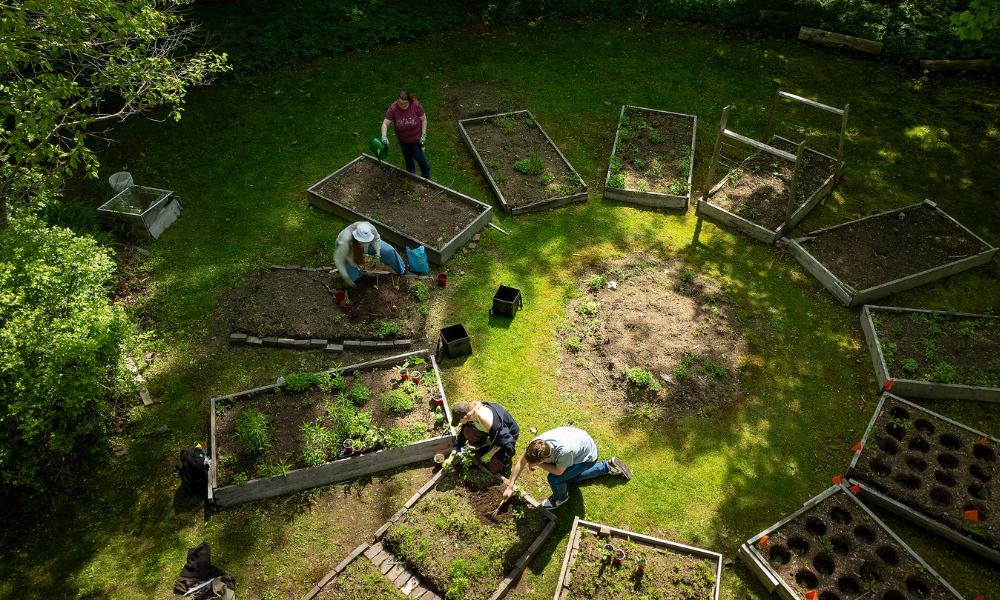 A circle of garden beds on SMU campus, students working in the garden