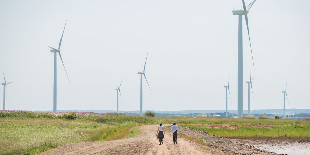 Two people walk towards windmills across the Tantramar Marsh.